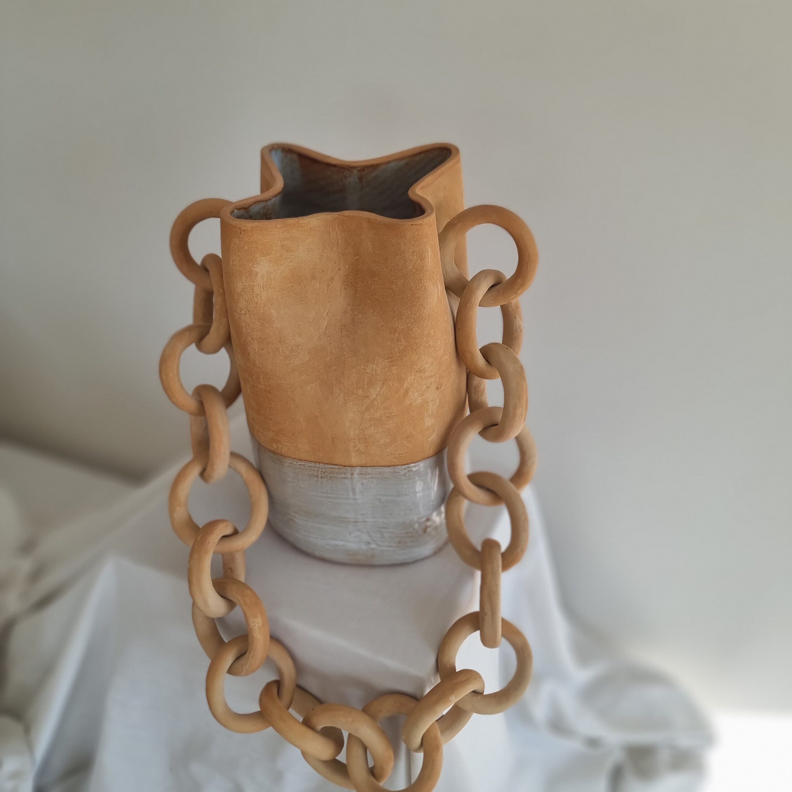 Gerro Anelles - Imatge 3